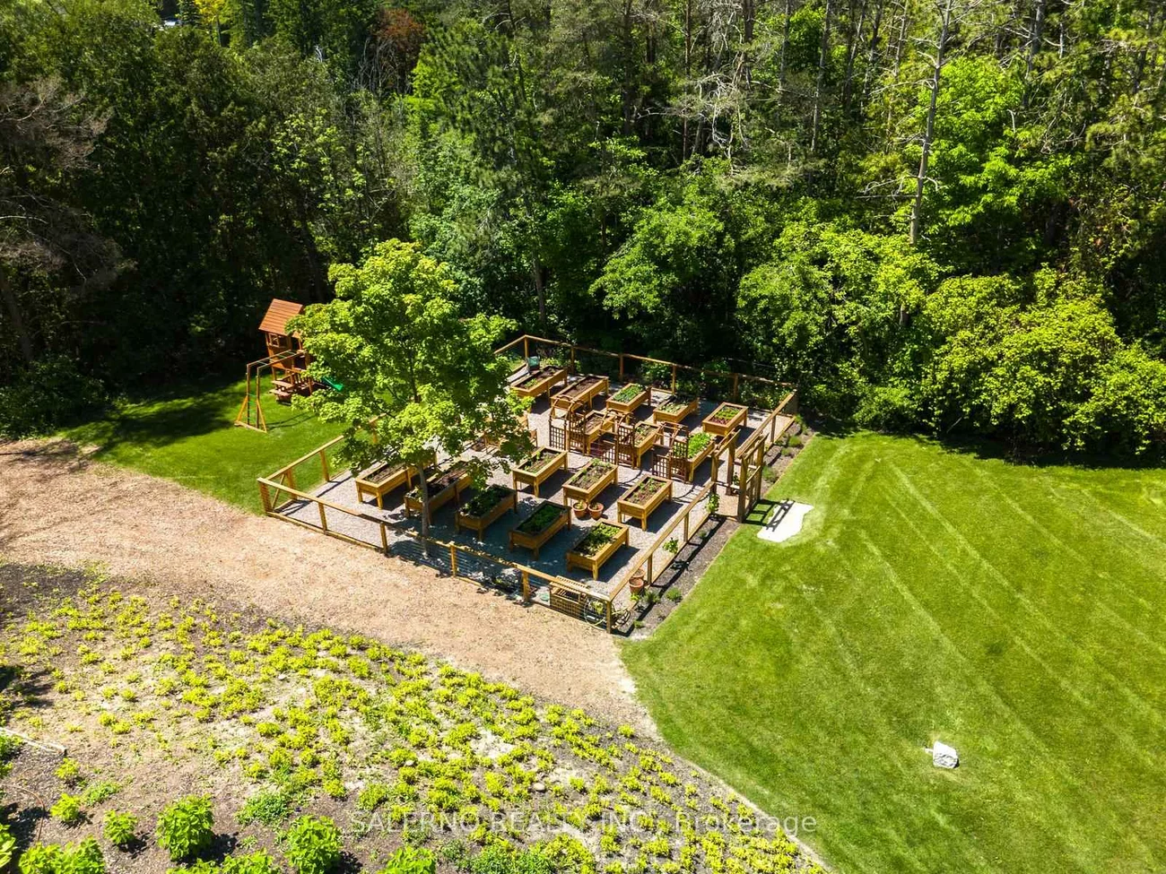 290, Kingscross, King City, King