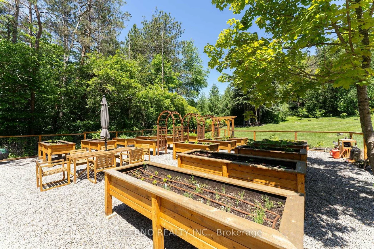 290, Kingscross, King City, King