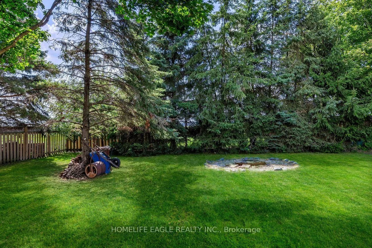 19280, Dufferin, Rural King, King