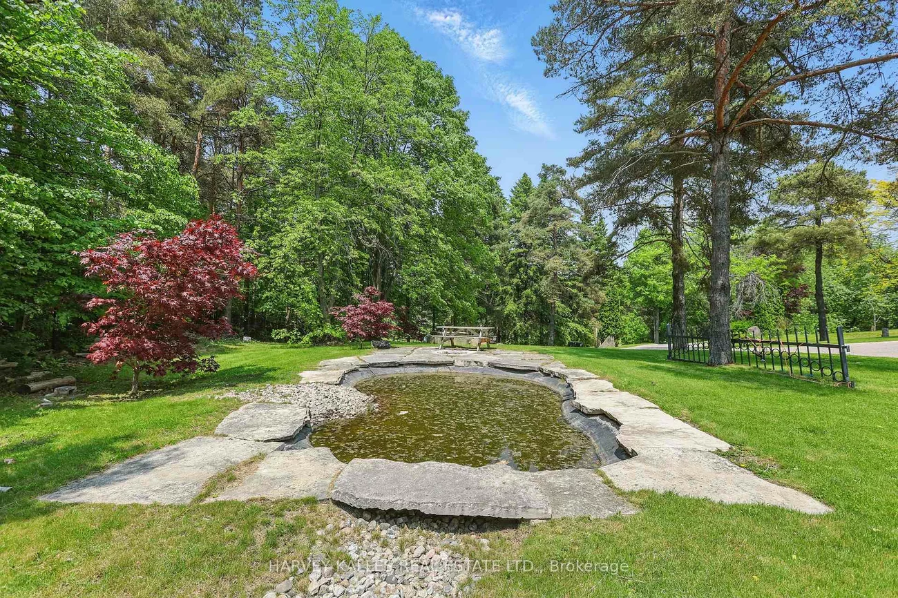 443, Dearbourne, King City, King