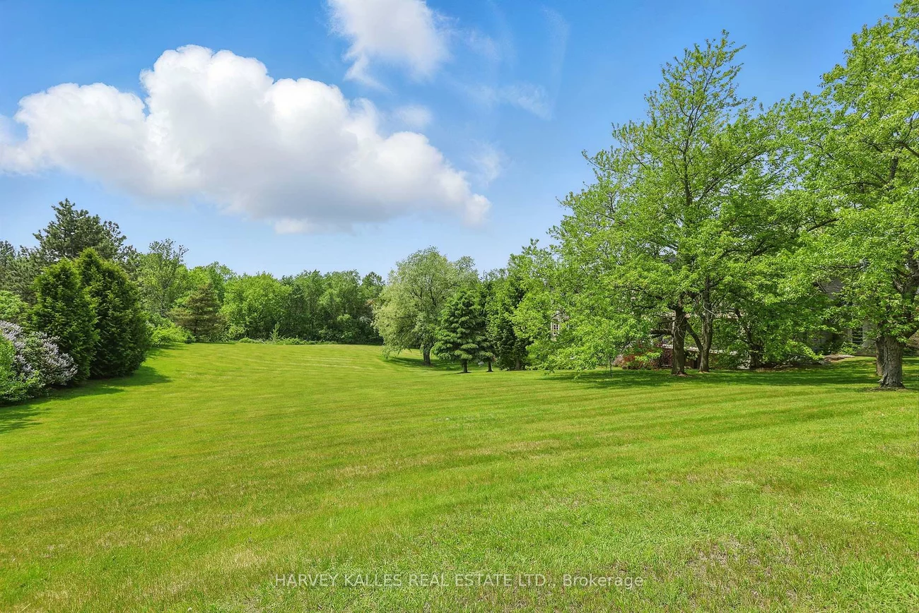 443, Dearbourne, King City, King