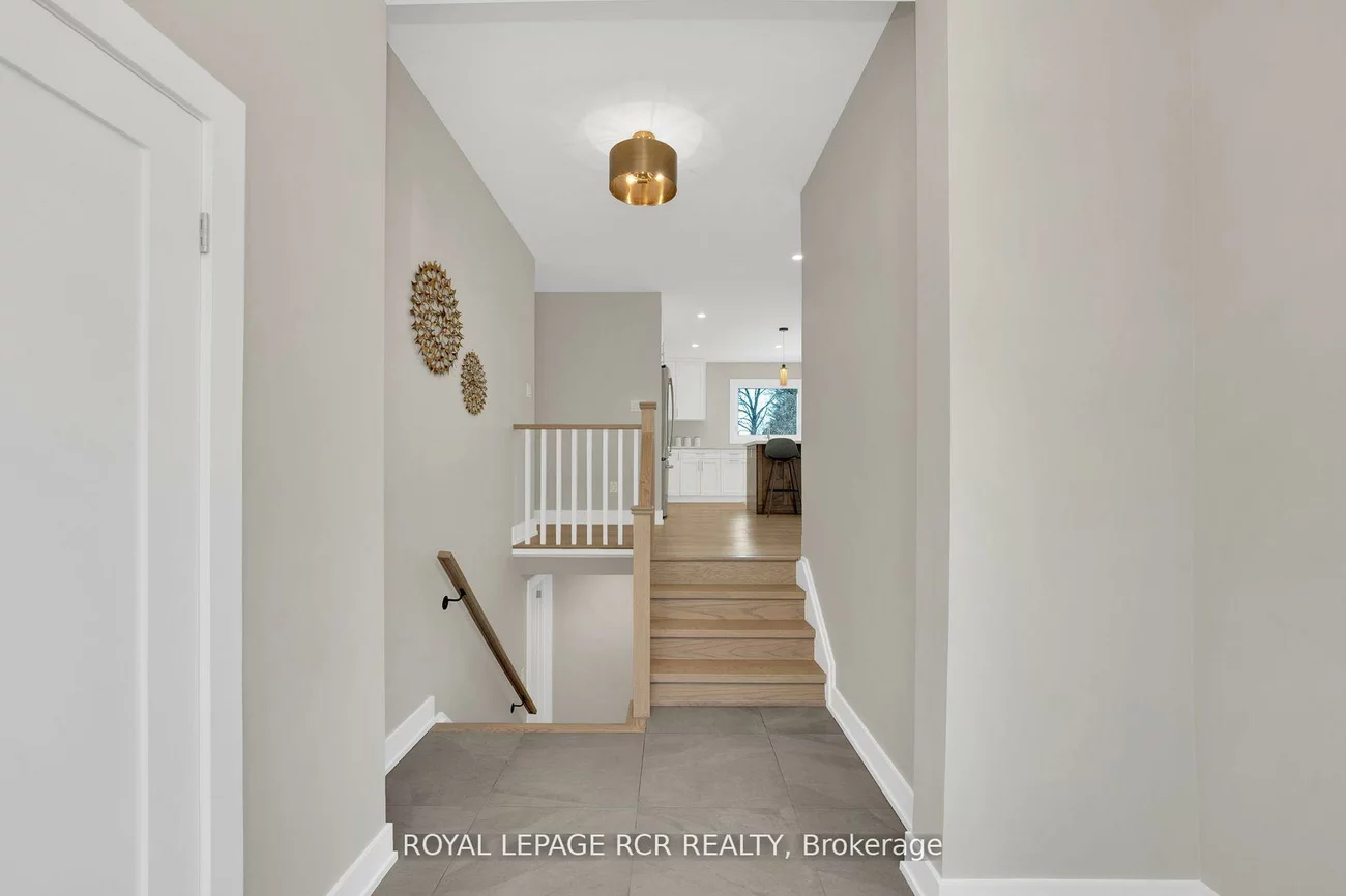 8, Cook, Pottageville, King