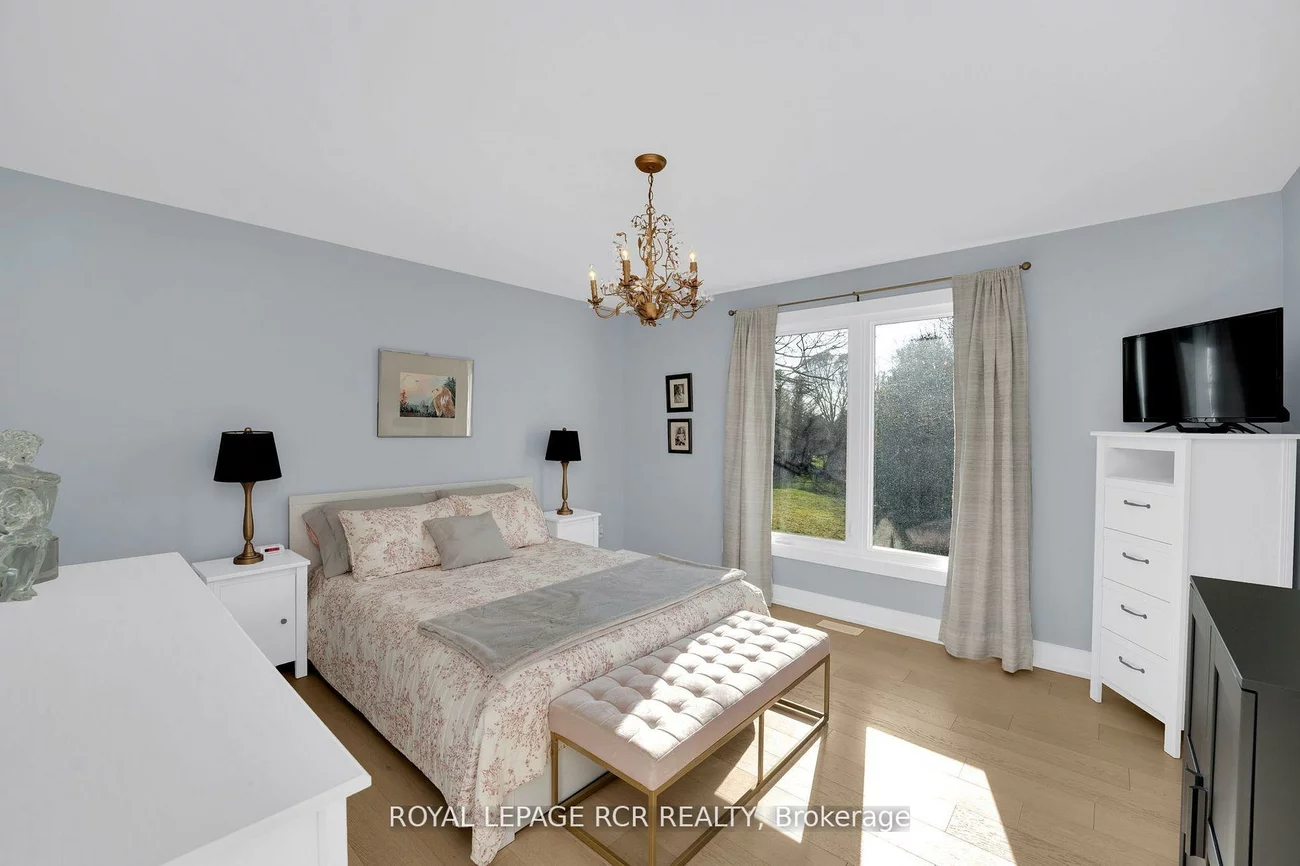 8, Cook, Pottageville, King