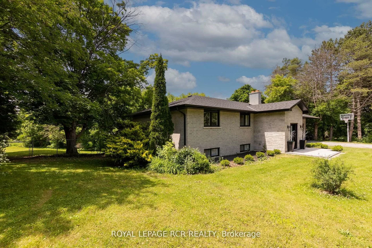 8, Cook, Pottageville, King