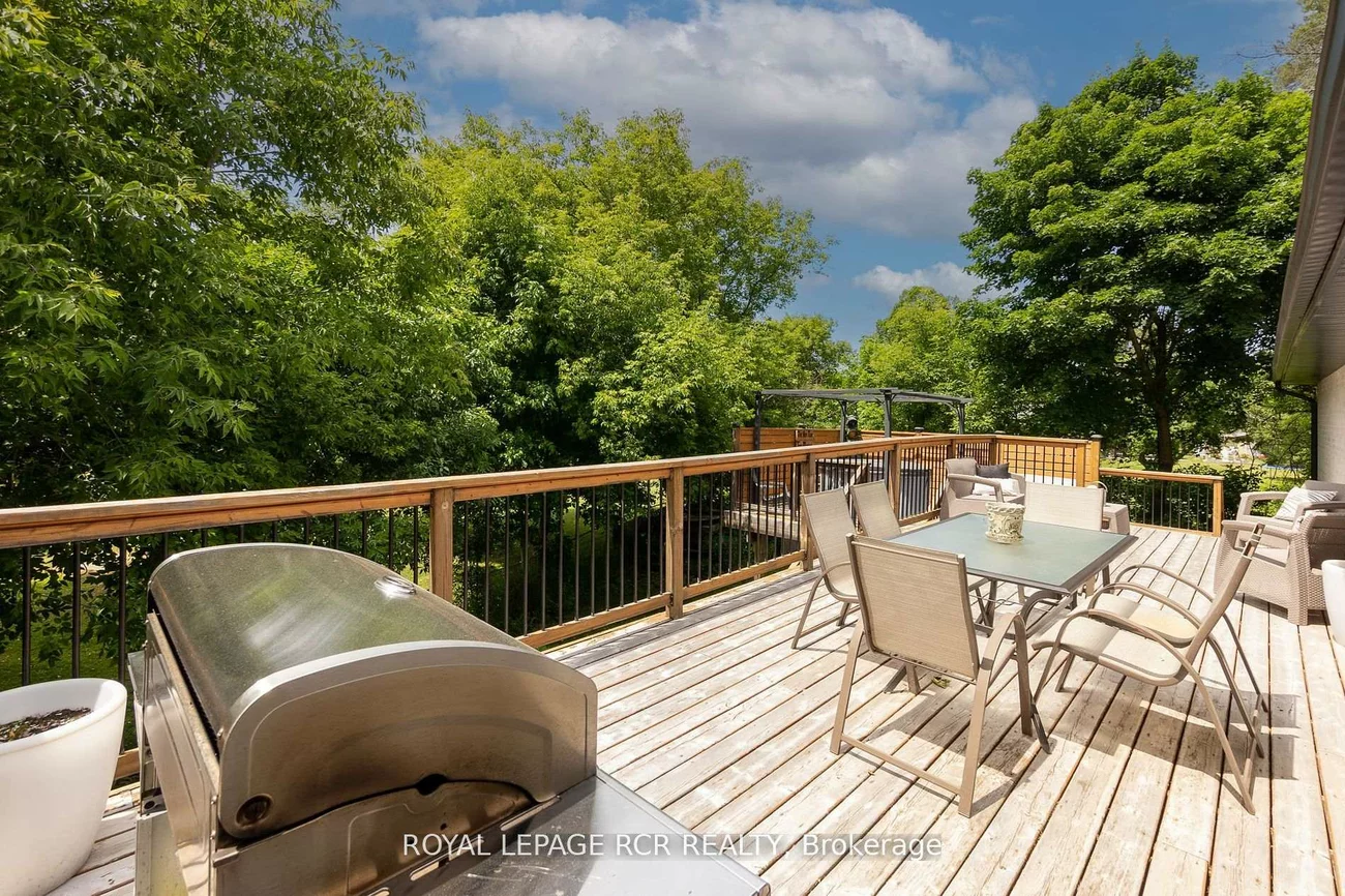 8, Cook, Pottageville, King