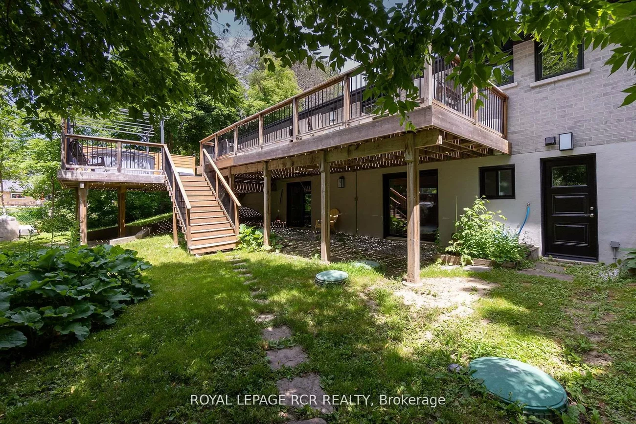 8, Cook, Pottageville, King