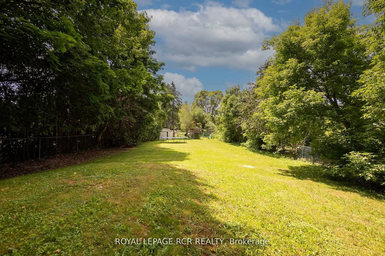 8, Cook, Pottageville, King