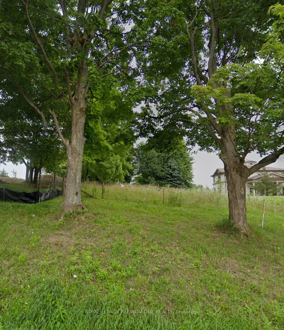 Weston, Rural King, King