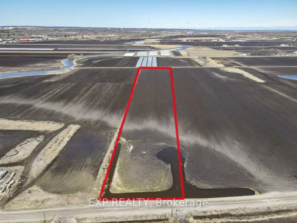 430, Bernhardt, Rural King, King