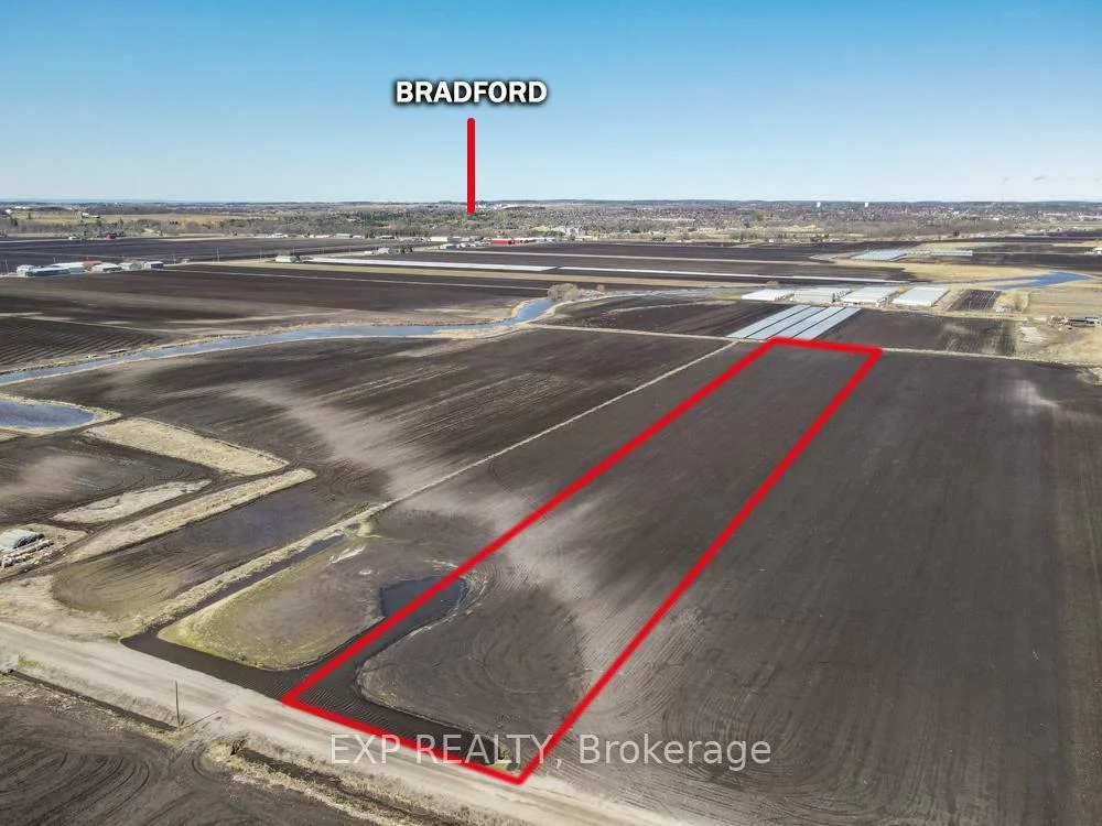 430, Bernhardt, Rural King, King