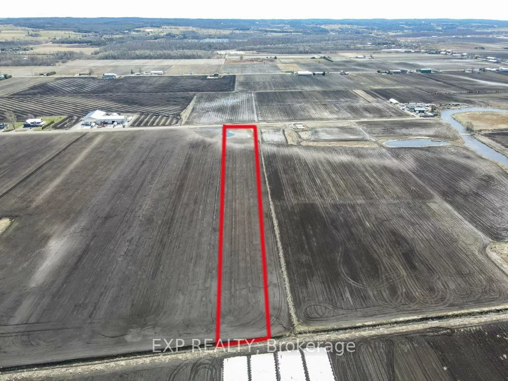 430, Bernhardt, Rural King, King