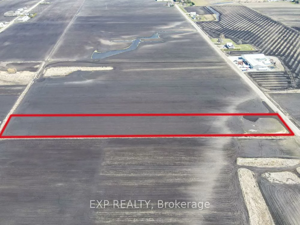 430, Bernhardt, Rural King, King