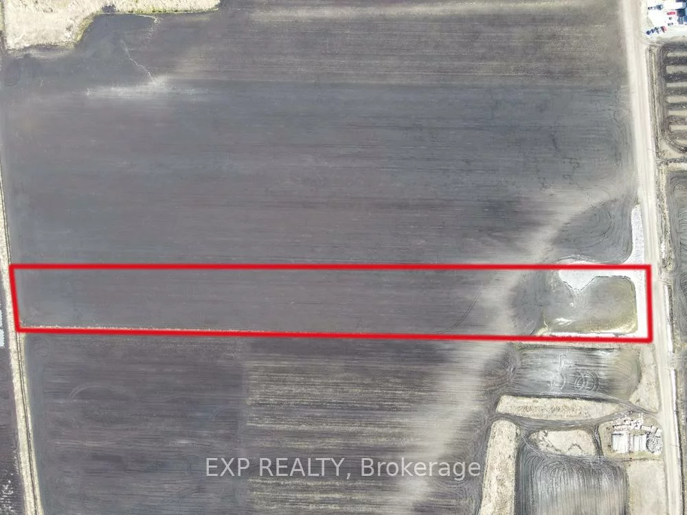 430, Bernhardt, Rural King, King