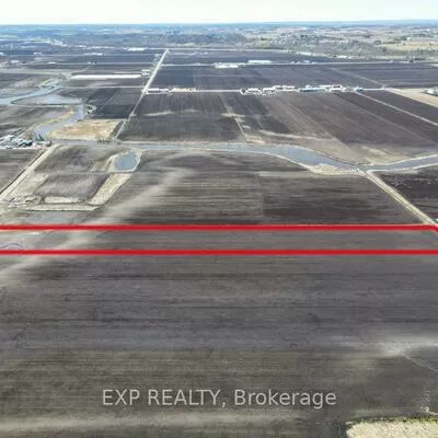 430, Bernhardt, Rural King, King