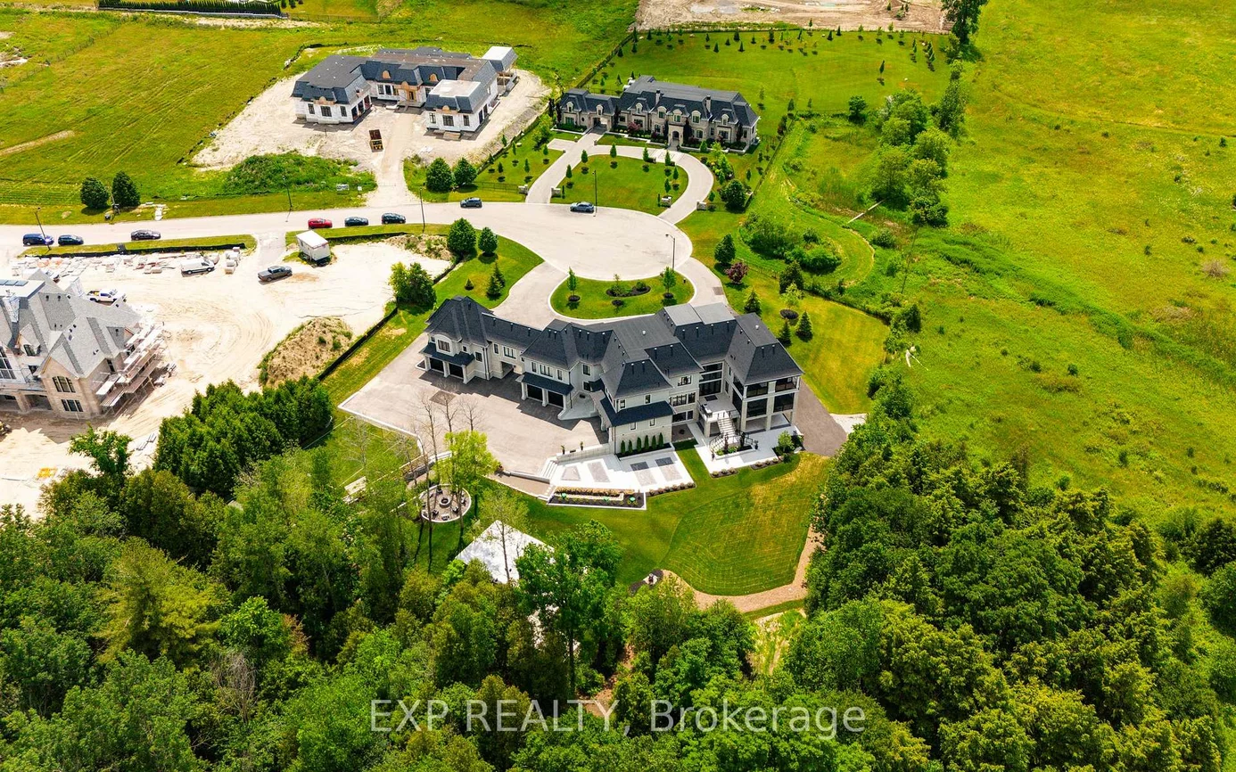 39, Orlin Chappel, Rural King, King