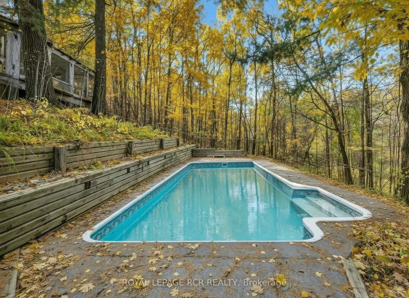 300, Old Bathurst, Rural King, King