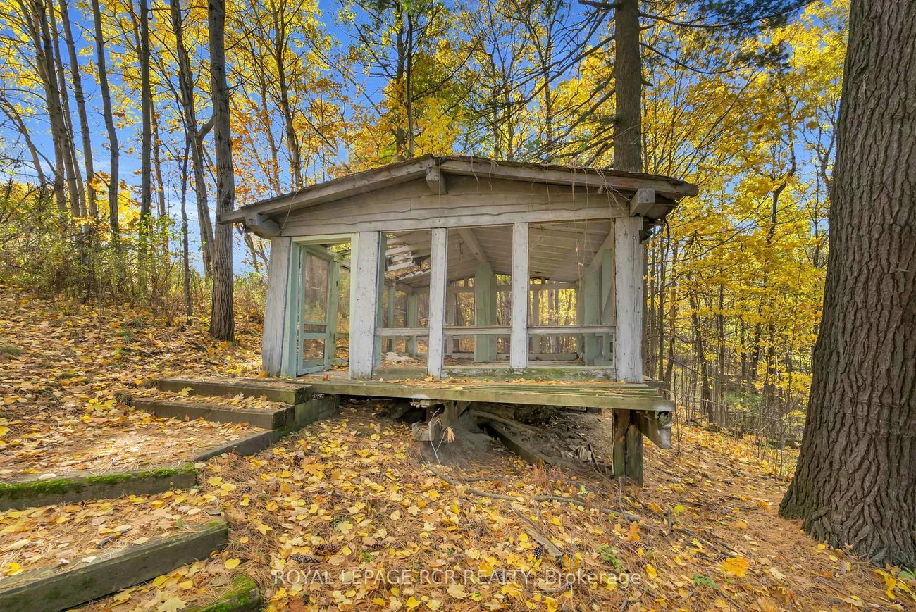 300, Old Bathurst, Rural King, King