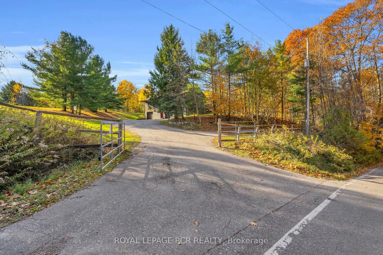 300, Old Bathurst, Rural King, King