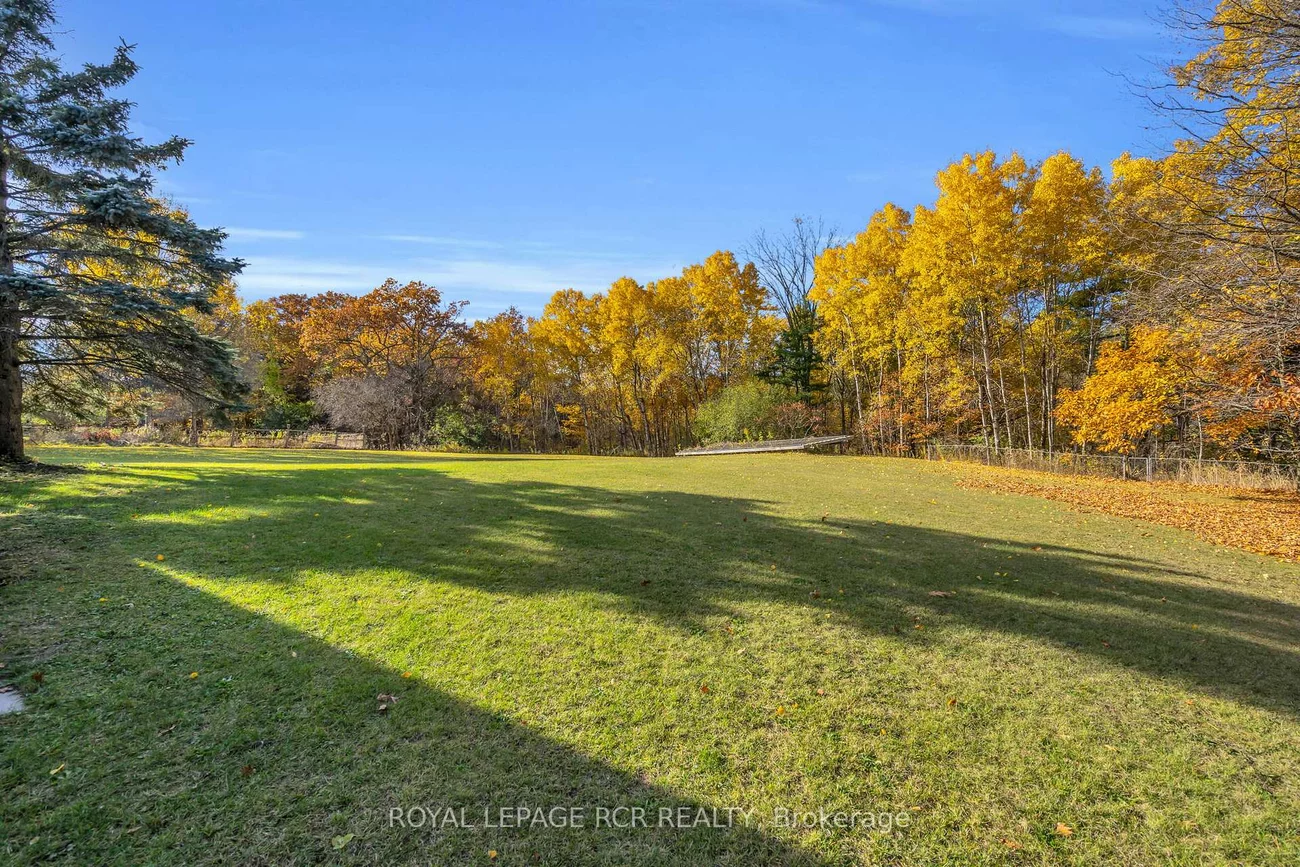300, Old Bathurst, Rural King, King