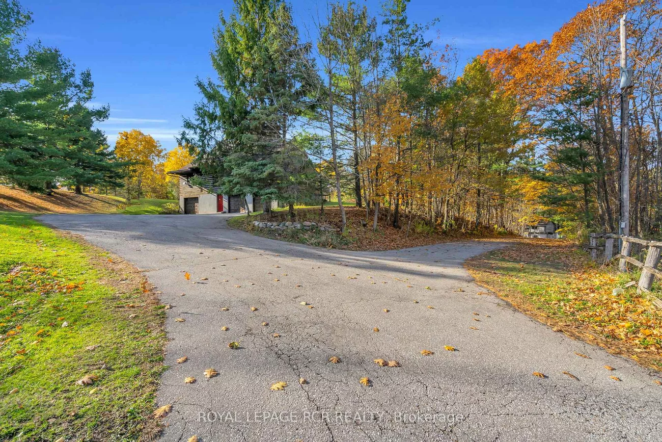 300, Old Bathurst, Rural King, King