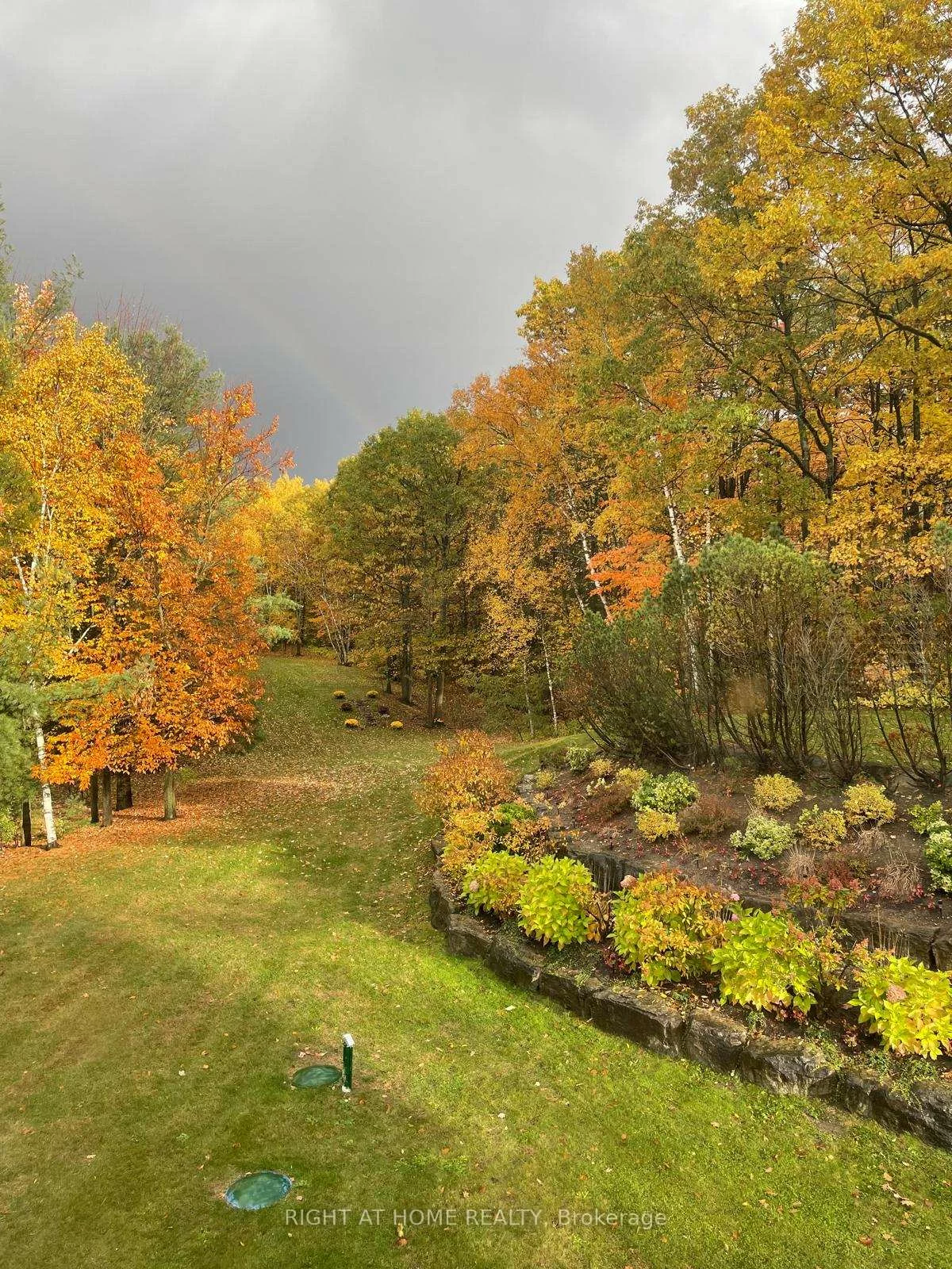 65, Kingswood, Rural King, King