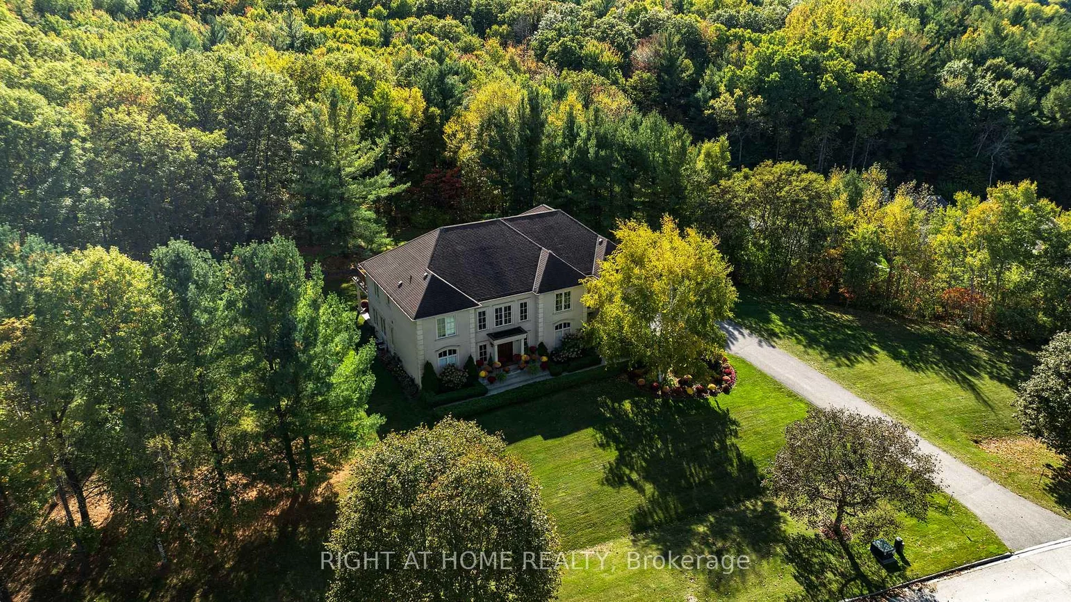 65, Kingswood, Rural King, King