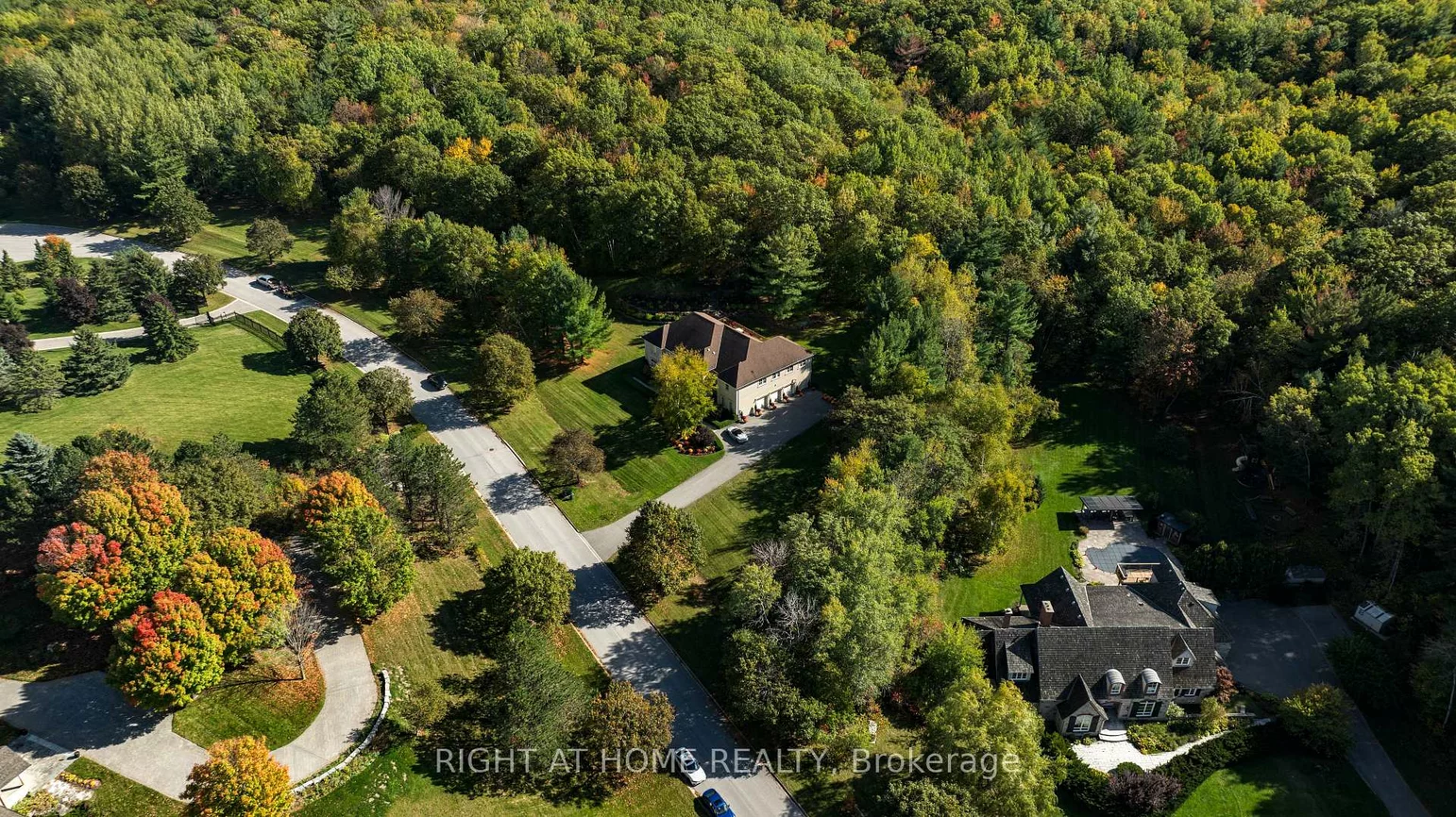 65, Kingswood, Rural King, King