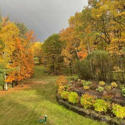 65, Kingswood, Rural King, King