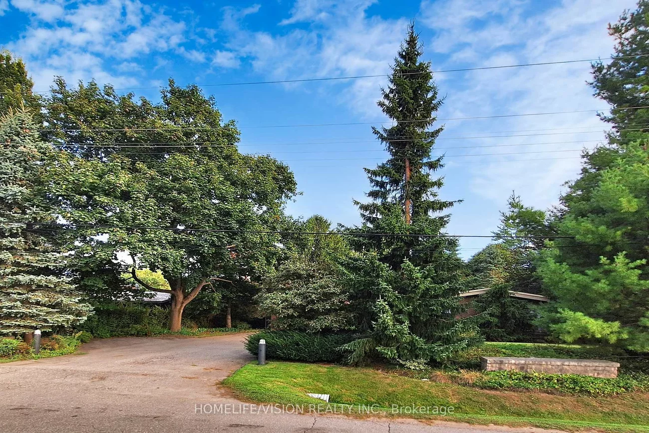 135, Patricia, King City, King