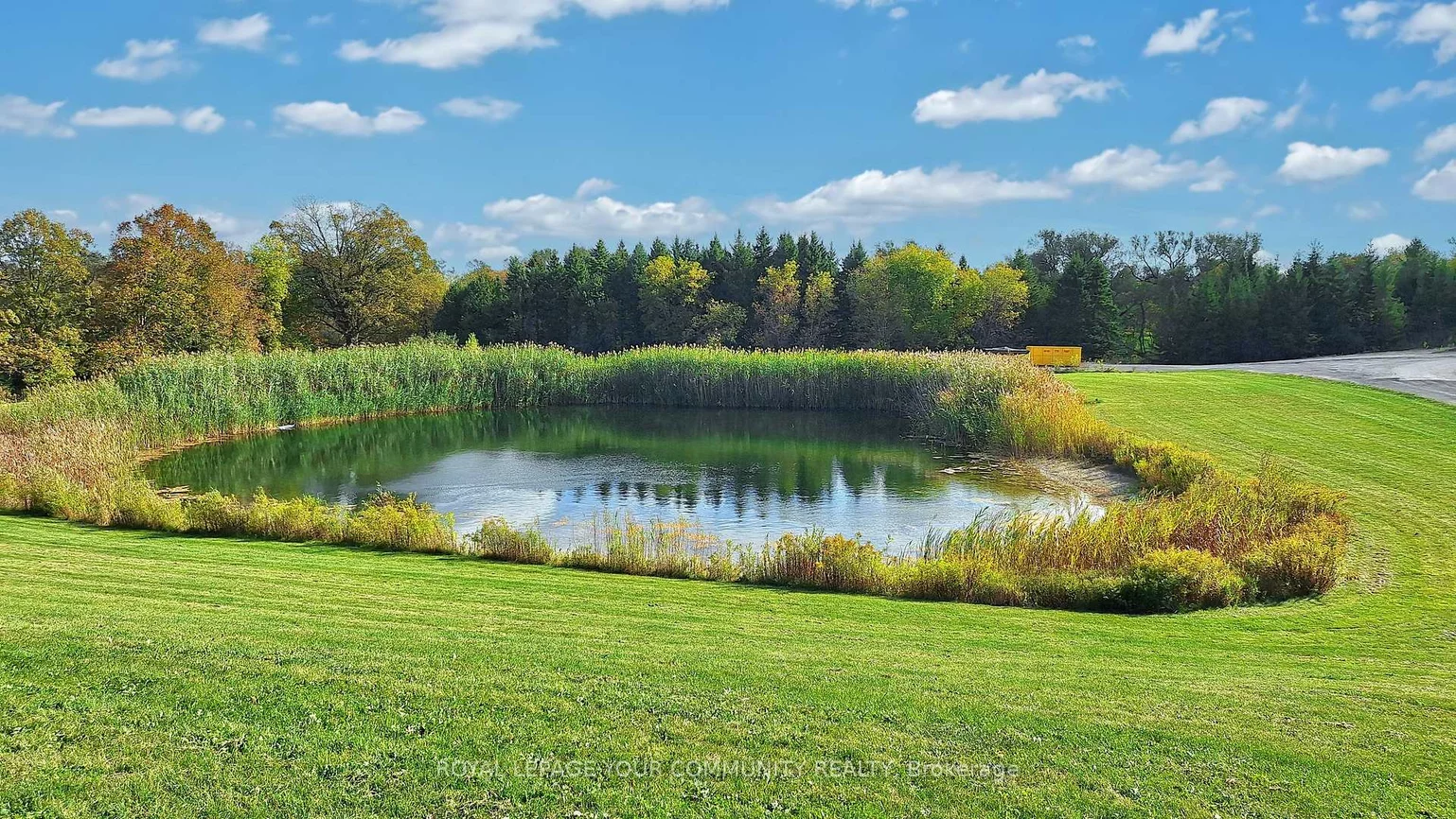 1065, 20th, Schomberg, King