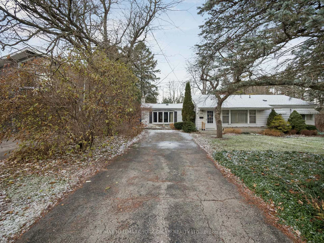 60, Charles, King City, King