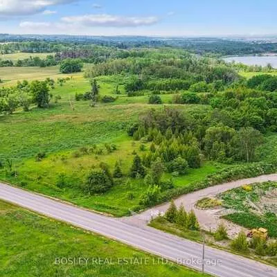 18156, Dufferin, Rural King, King