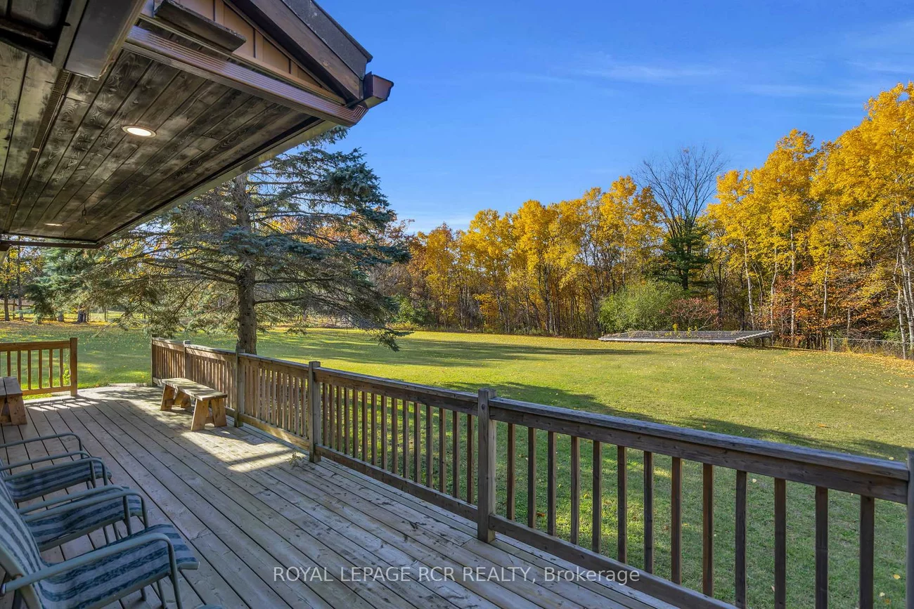 300, Old Bathurst, Rural King, King