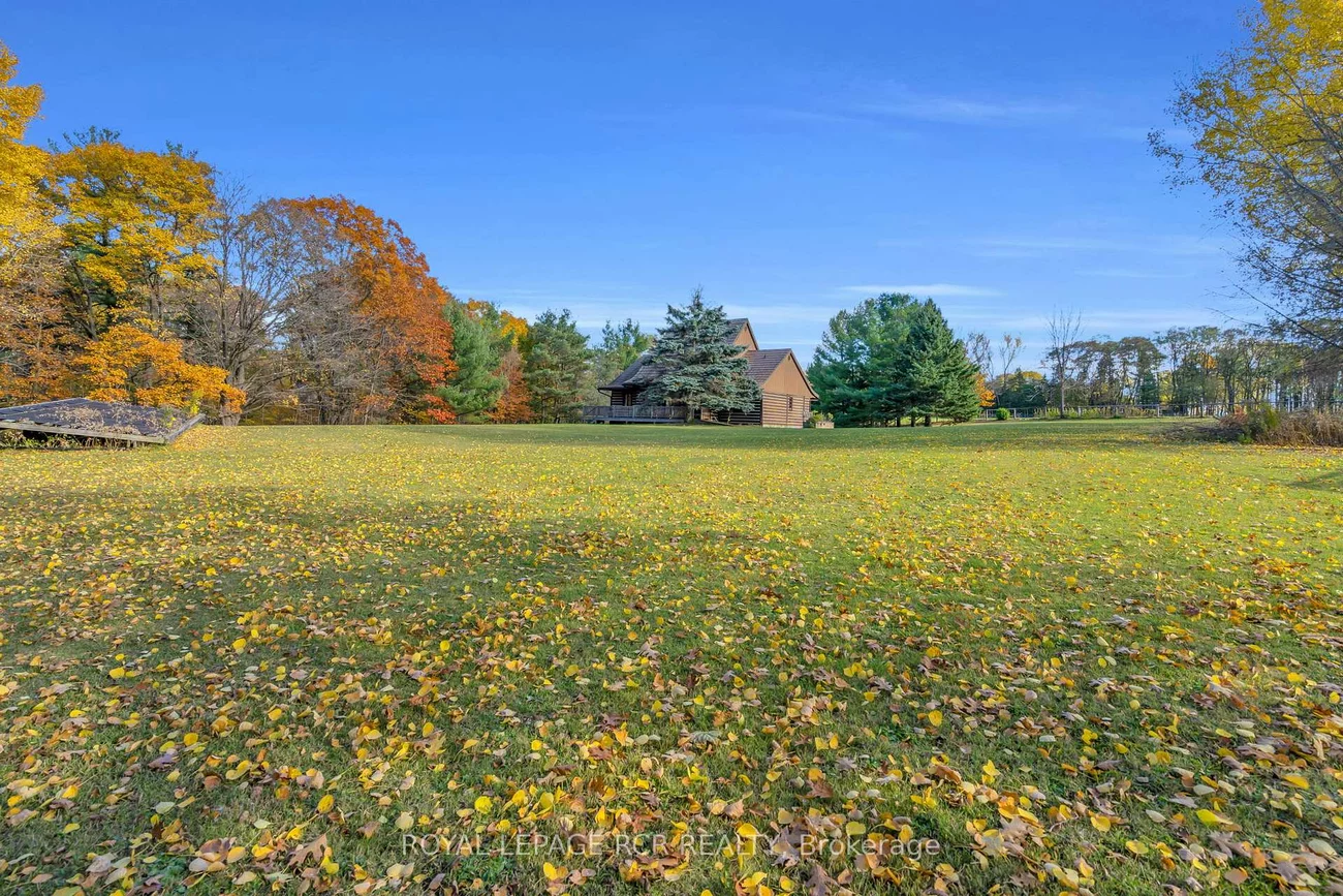 300, Old Bathurst, Rural King, King