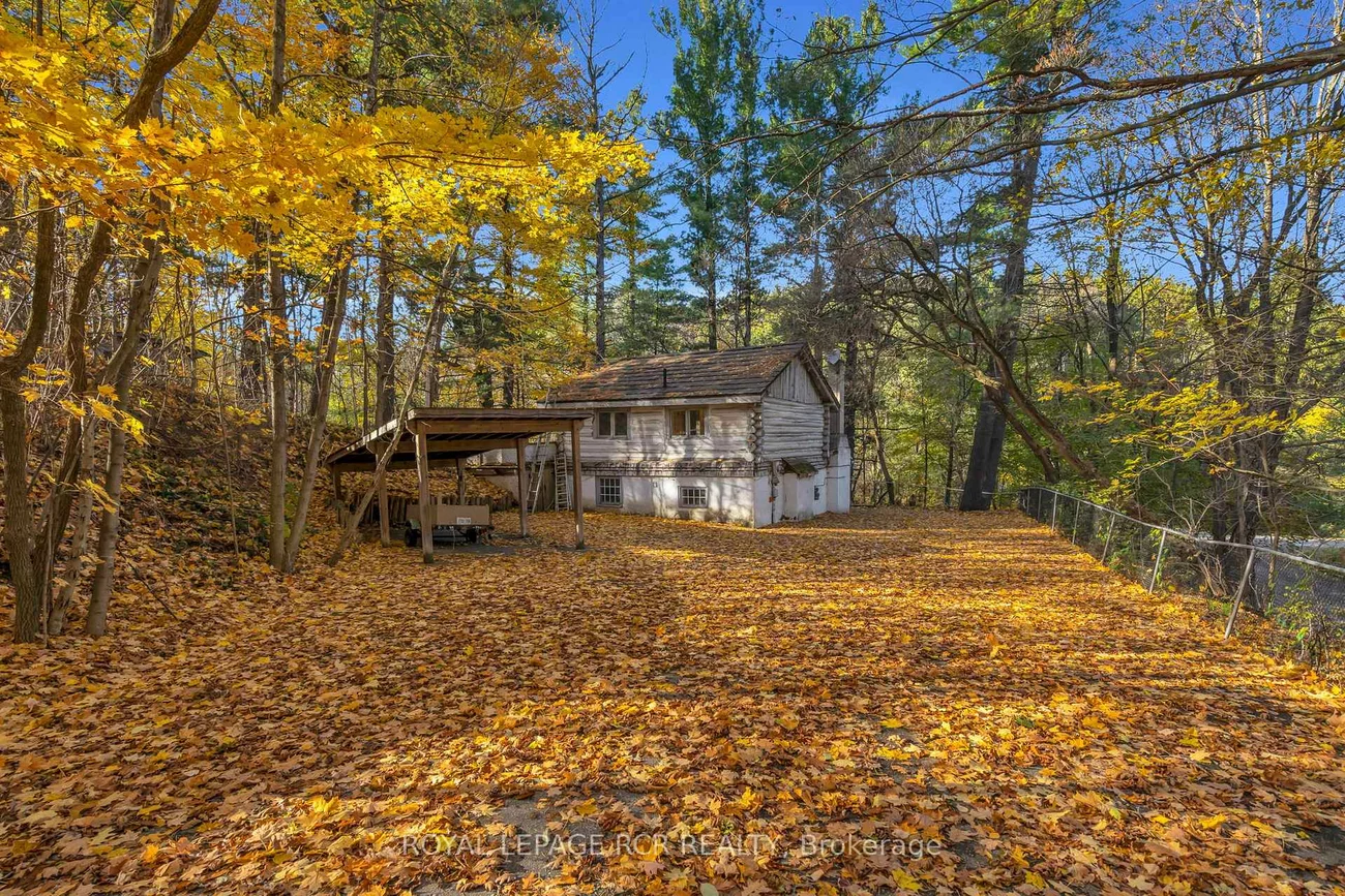 300, Old Bathurst, Rural King, King