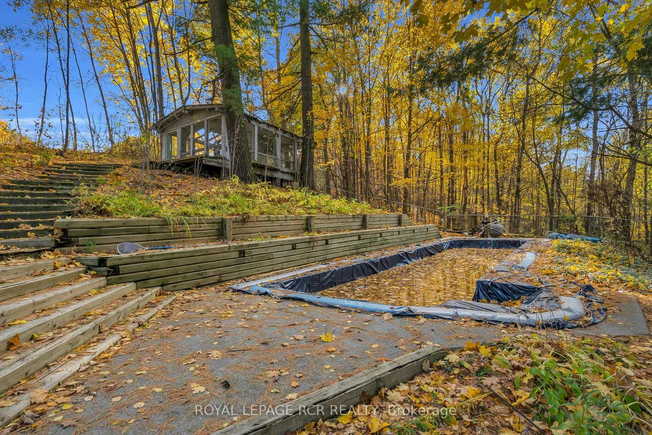 300, Old Bathurst, Rural King, King