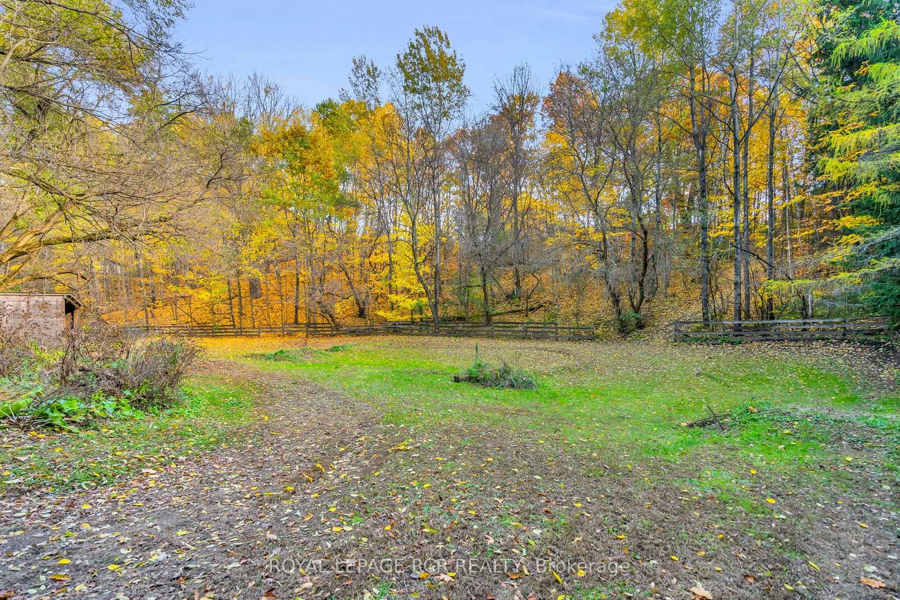 300, Old Bathurst, Rural King, King