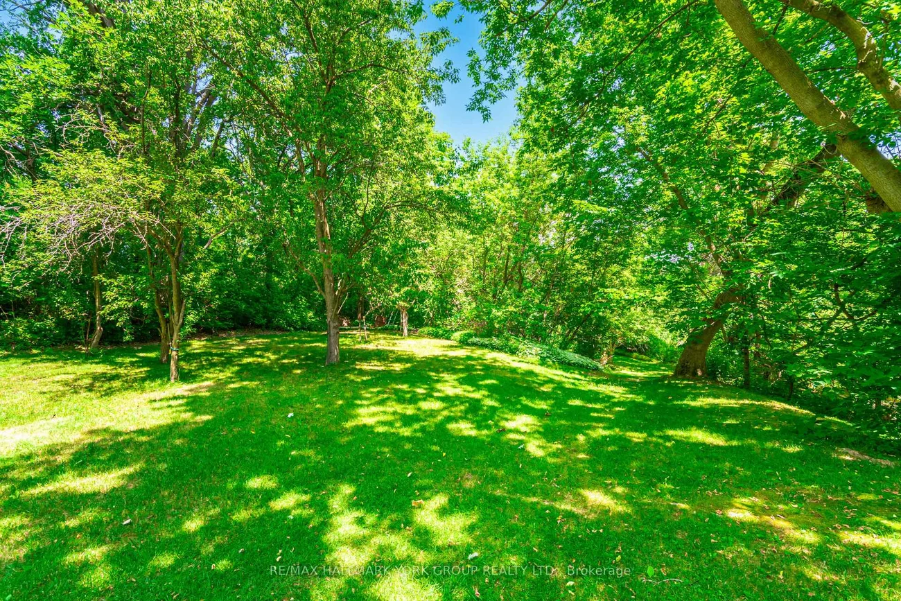 390, Main, Schomberg, King