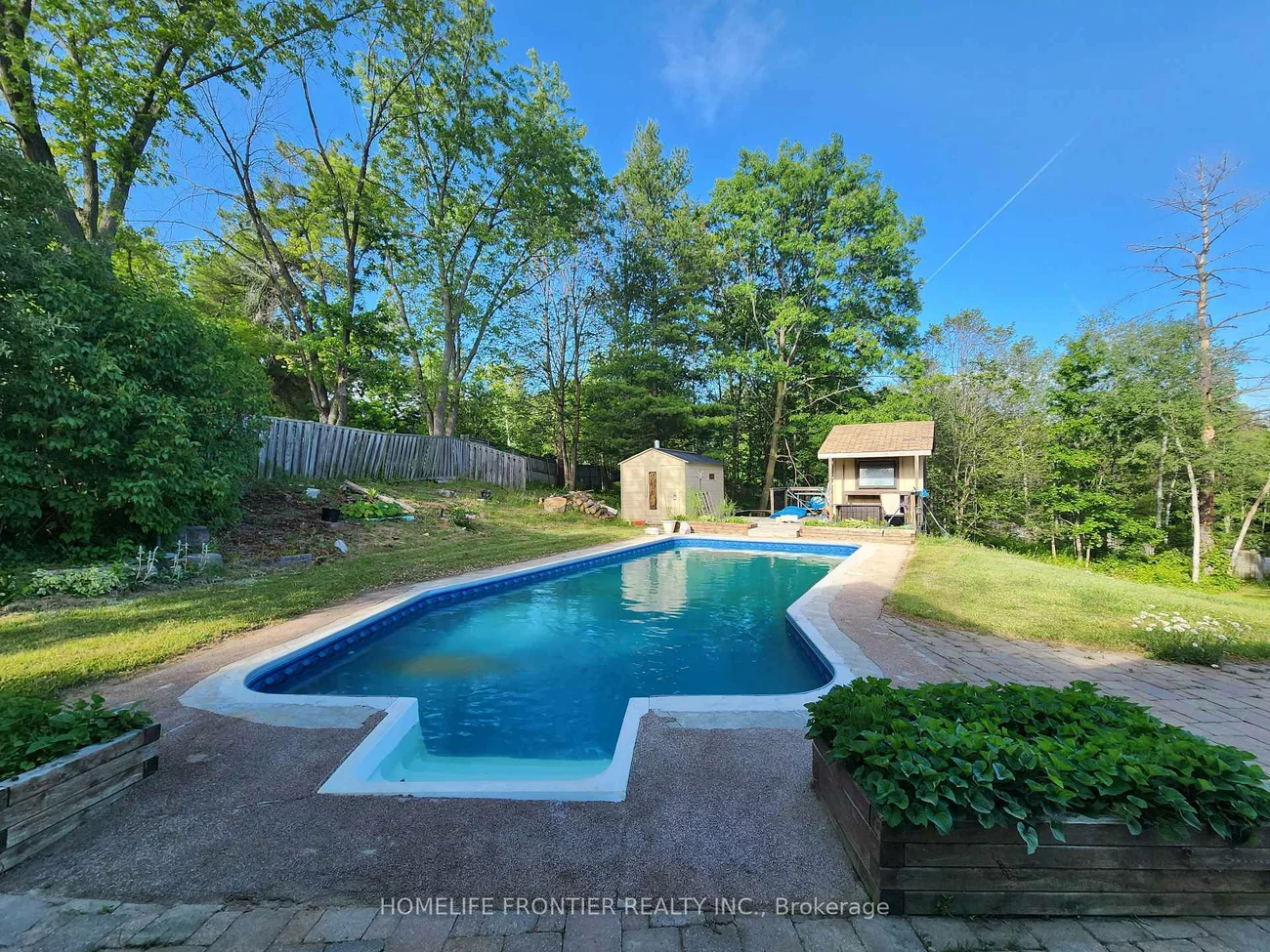 3, Mandalane, Schomberg, King