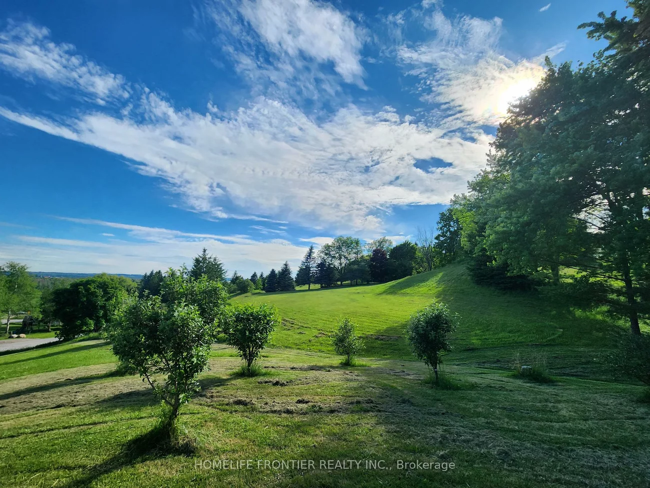 3, Mandalane, Schomberg, King