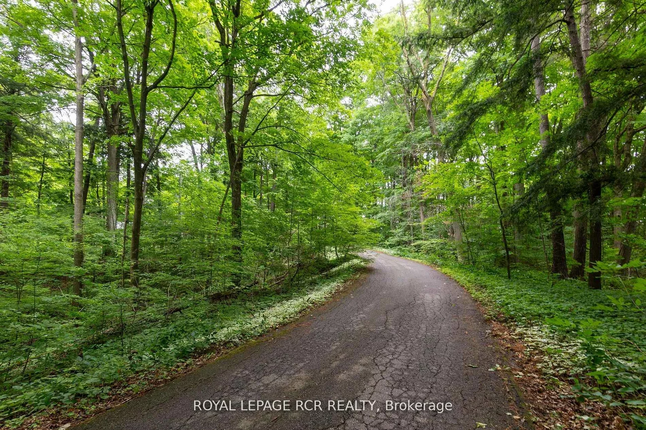 14615, 8th, Rural King, King