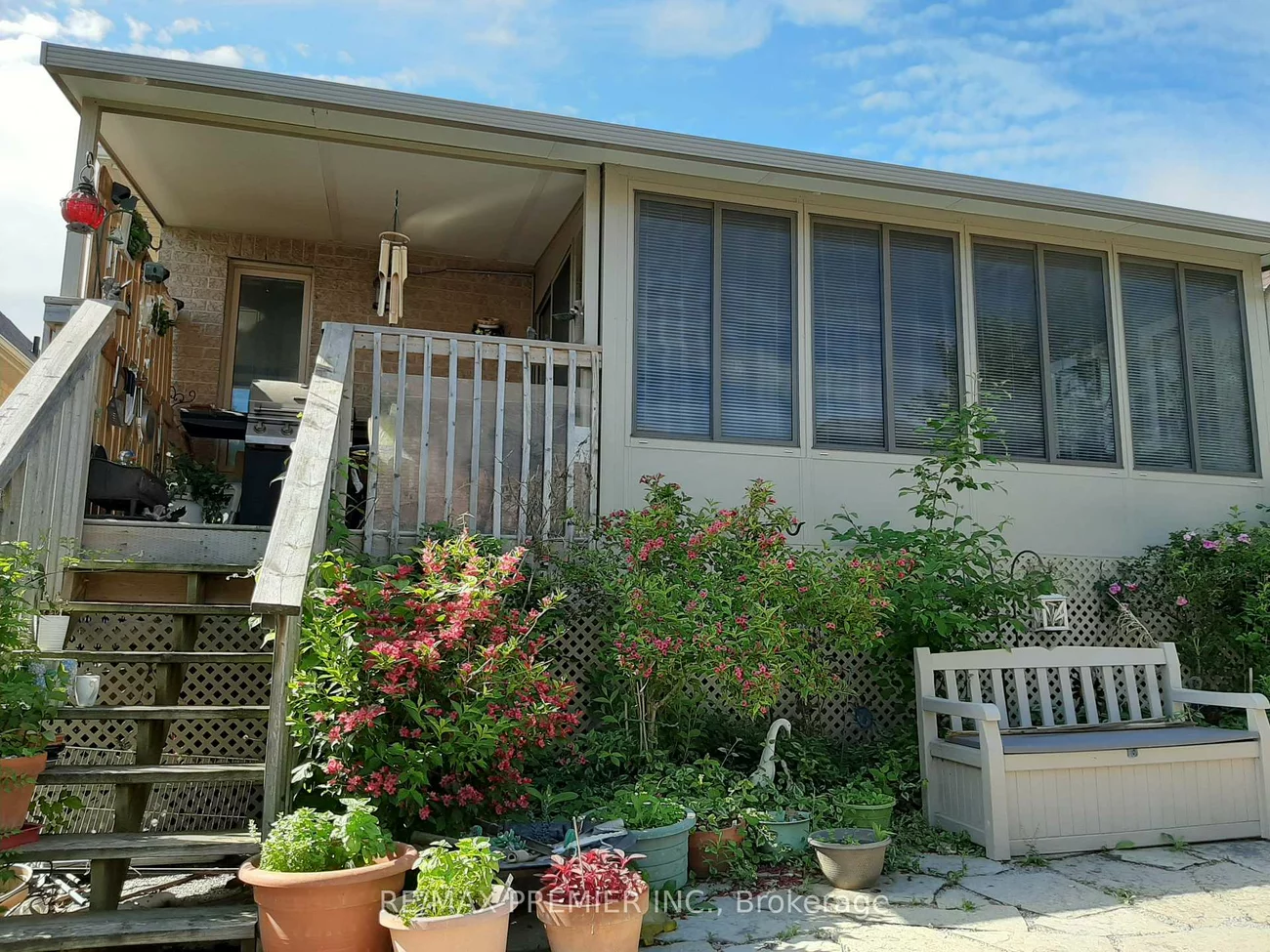 46, Ben Boy, Schomberg, King