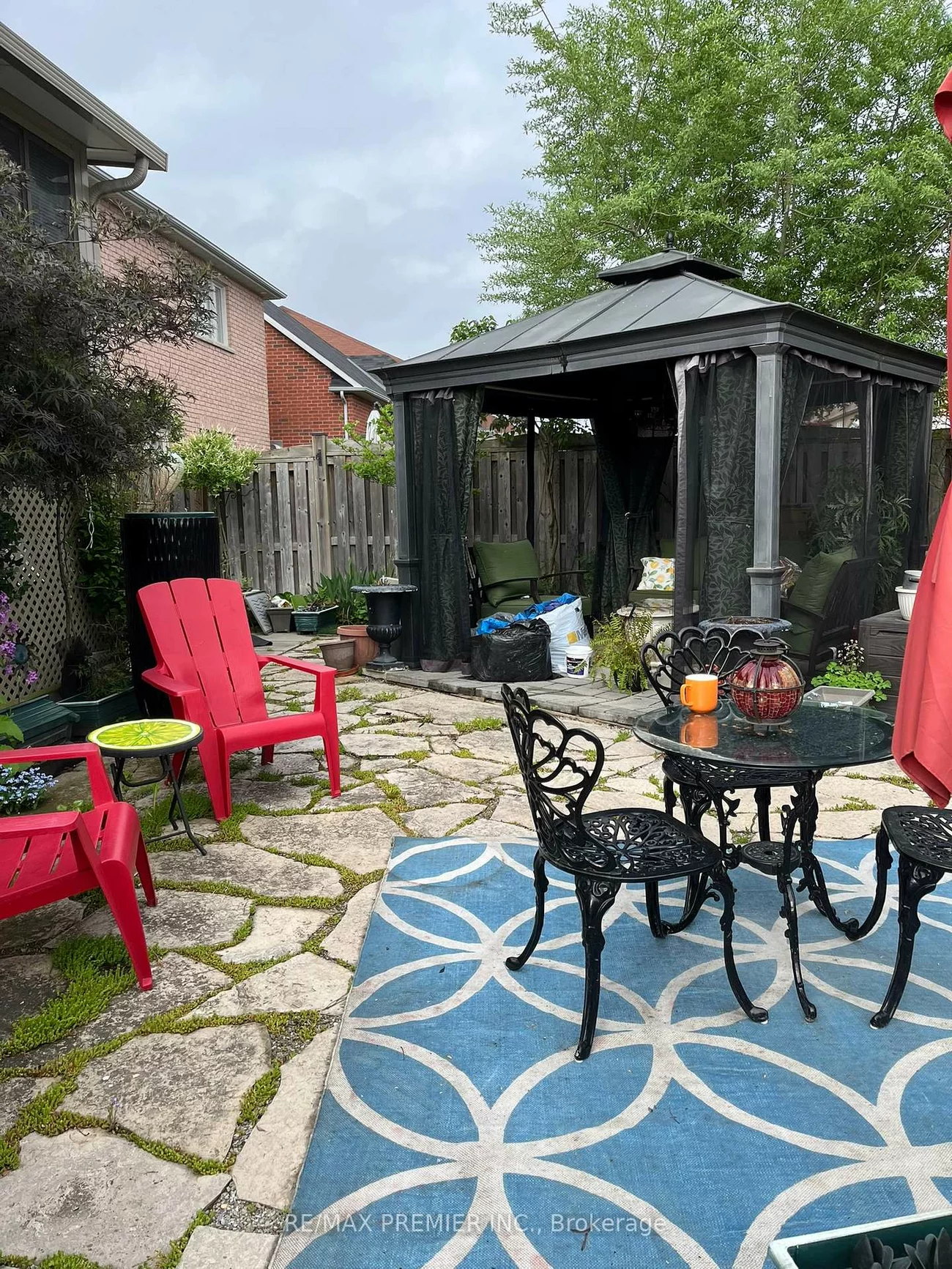 46, Ben Boy, Schomberg, King