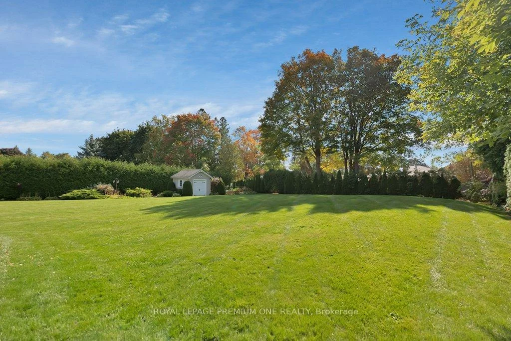 27, Cain, Nobleton, King