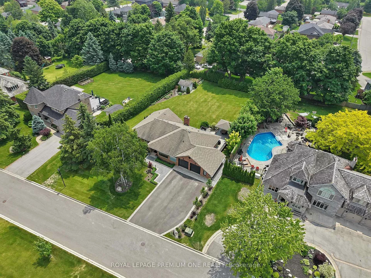 27, Cain, Nobleton, King