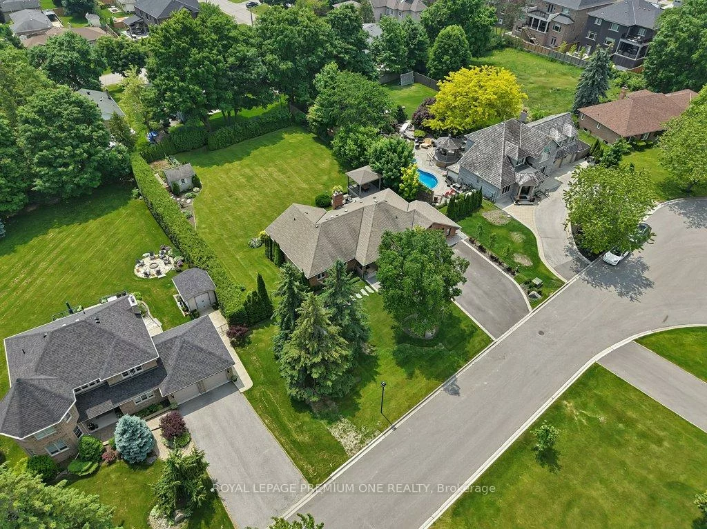 27, Cain, Nobleton, King