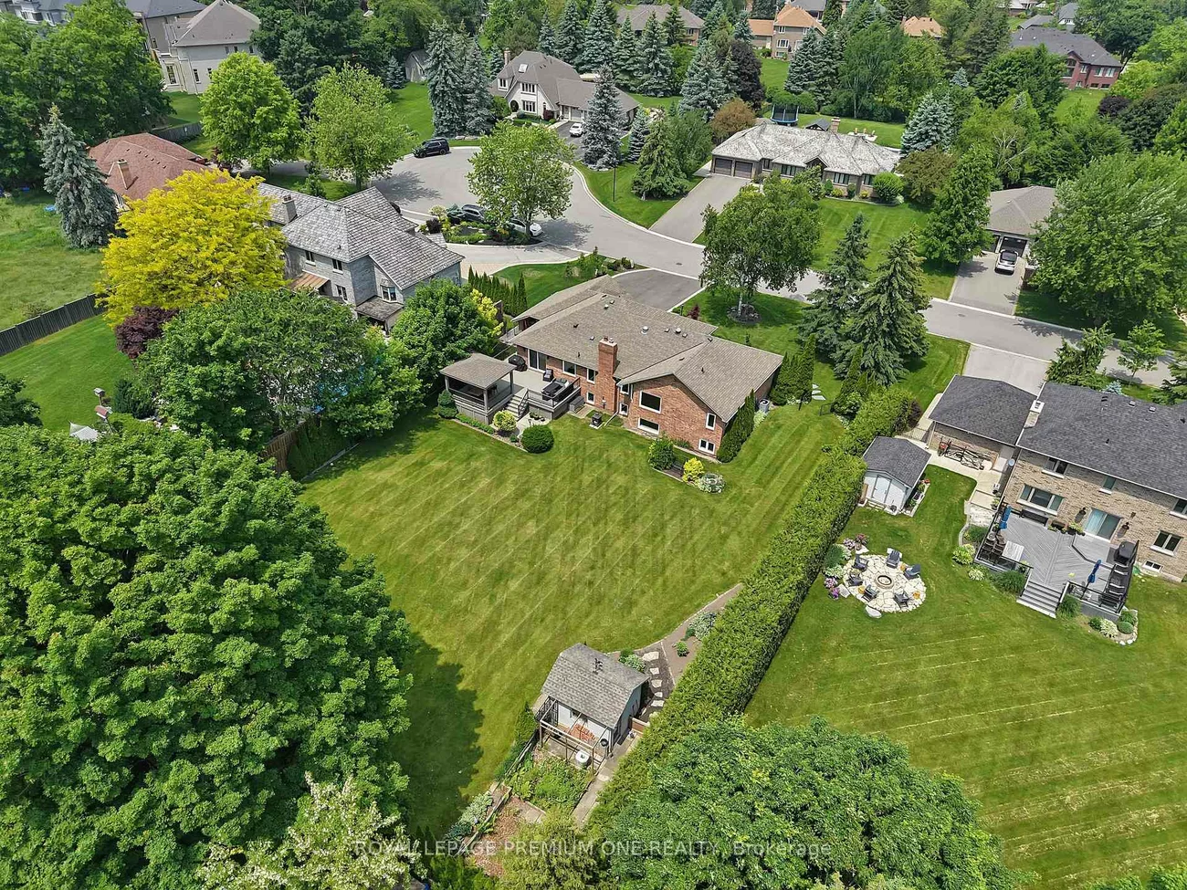 27, Cain, Nobleton, King