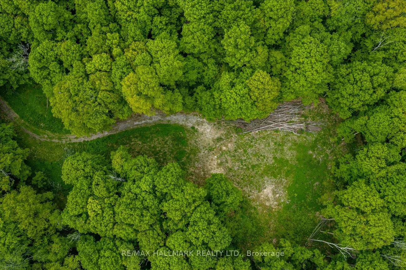 430, Churchill, Rural King, King