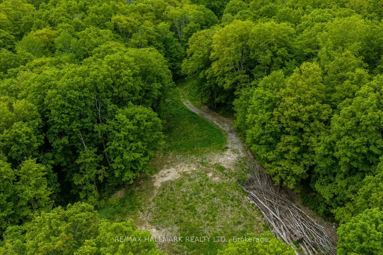 430, Churchill, Rural King, King