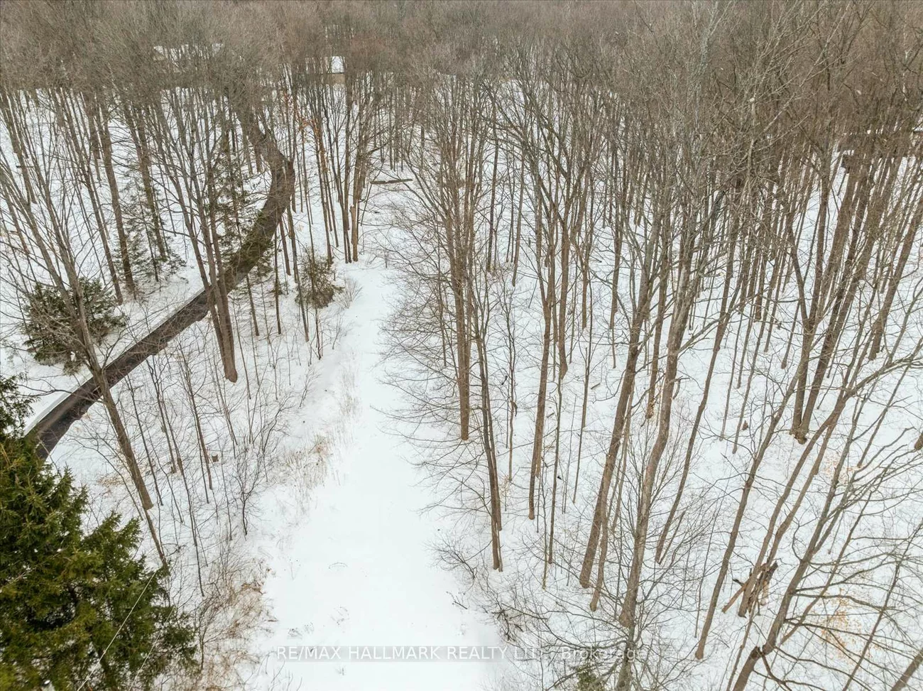 430, Churchill, Rural King, King